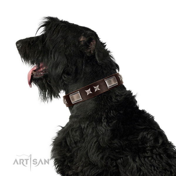 Studded collar of full grain genuine leather for your handsome four-legged friend