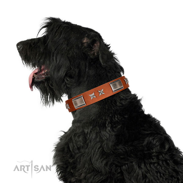 Daily use gentle to touch full grain natural leather dog collar with embellishments