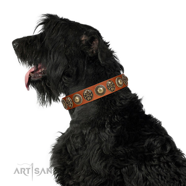 Fine quality natural leather collar for your attractive doggie