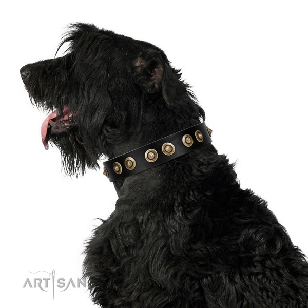 Everyday walking dog collar of natural leather with inimitable decorations