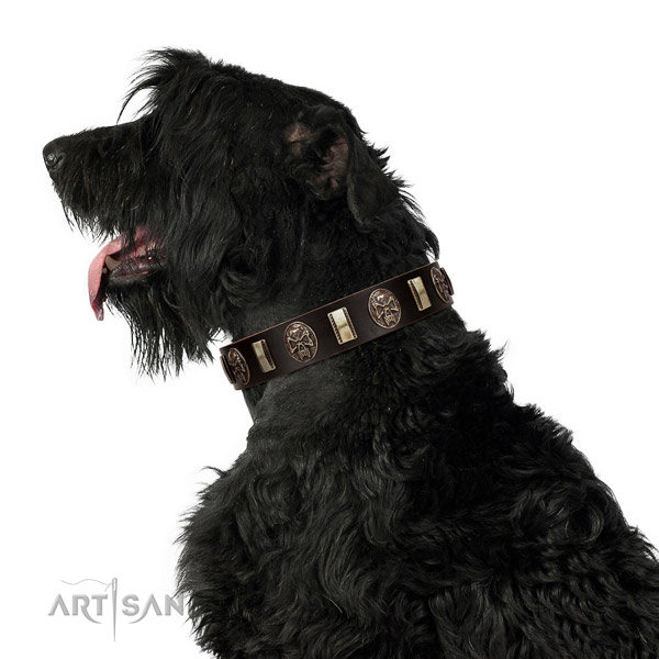 Leather collar with decorations for your beautiful dog