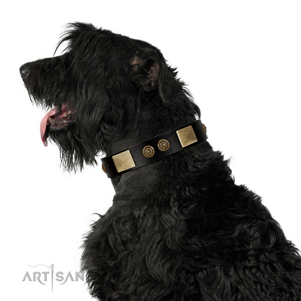 Everyday walking dog collar of natural leather with exquisite decorations
