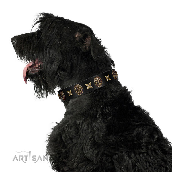 Handy use dog collar of natural leather with top notch studs