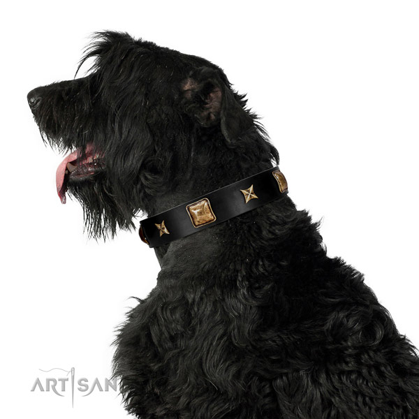 Designer dog collar handmade for your lovely pet