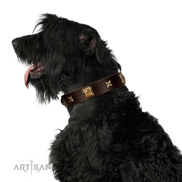 Fashionable full grain natural leather dog collar with decorations