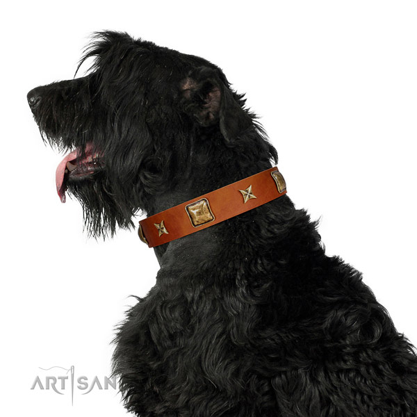 Adjustable full grain genuine leather dog collar with adornments