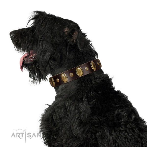 Top quality genuine leather dog collar with rust-proof D-ring