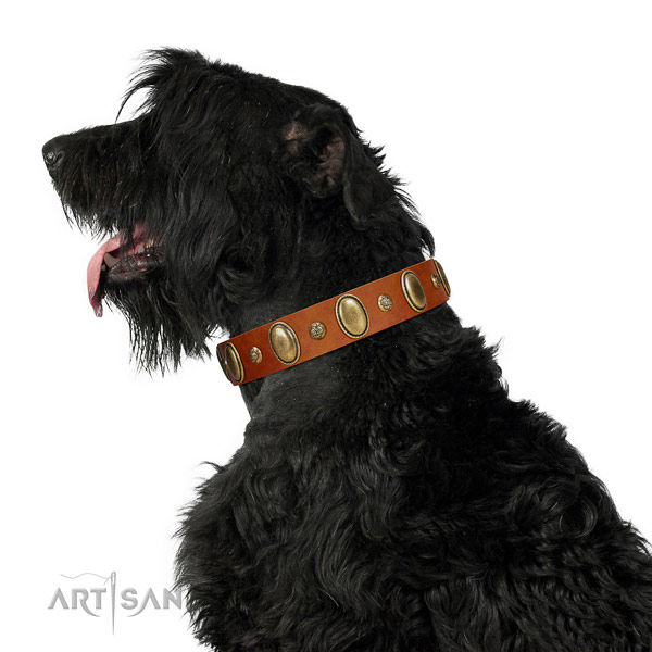 Unusual full grain genuine leather dog collar with strong buckle