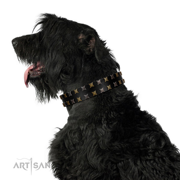 Top notch natural leather dog collar with embellishments for your canine