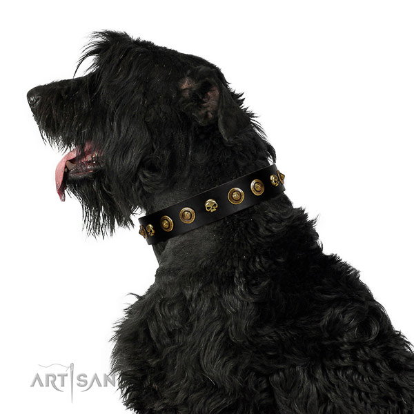 Gentle to touch genuine leather dog collar with embellishments for your pet