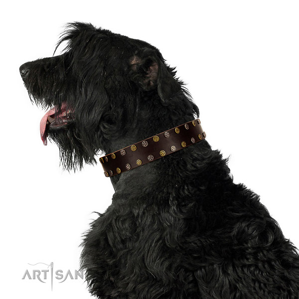 Everyday walking leather dog collar with studs