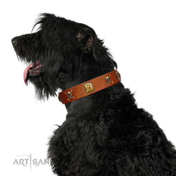 Unusual leather dog collar with durable decorations