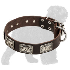 Walking Nickel Plated Leather Black Russian Terrier Collar