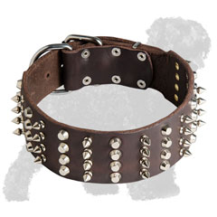 Studded and Spiked Walking Wide Leather Russian Terrier Collar