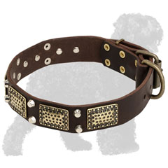 Black Russian Terrier Collar with Brass Plates and Nickel Pyramids
