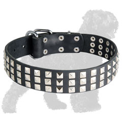 Studded Leather Black Russian Terrier Collar