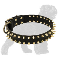 Walking Leather Black Russian Terrier Collar with Brass Spikes