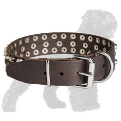 Hand-Made Leather Russian Terrier Collar with Strong Buckle