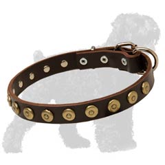 Walking Strong Leather Black Russian Terrier Collar with Brass Dotted Circles