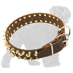 Spiked and Studded Leather Russian Terrier Collar with Strong Fittings
