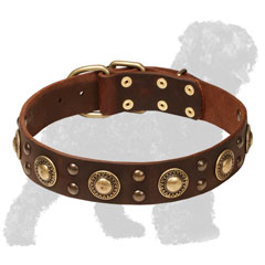 Handcrafted Leather Russian Terrier Collar with Stylish Studs and Conchos