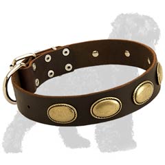 Non-Toxic Leather Dog Collar