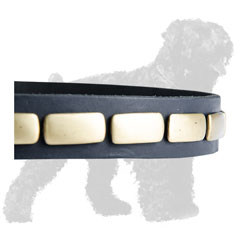 Shiny Horizontal Plates on Walking Leather Russian Terrier Collar