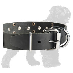 Reliable Buckle of Adjustable Training Leather Russian Terrier Collar