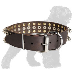 Reliable Buckle on Leather Black Russian Terrier Collar