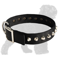 Strong Buckle on Nylon Training Dog Collar for Russian Terrier