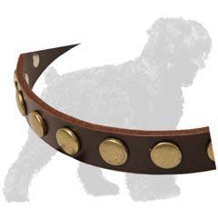 Fancy Circles on Training Leather Dog Collar for Russian Terrier