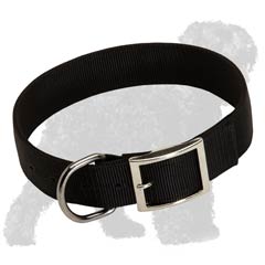 2 ply nylon collar for Black Russian Terrier