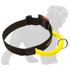 Wide nylon collar for Black Russian Terrier