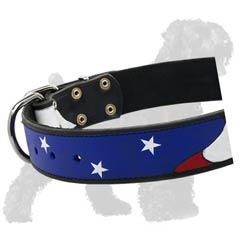 American Patriot collar for Black Russian Terrier