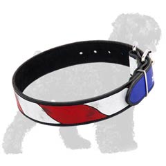 Water resistant paints for great look of this collar