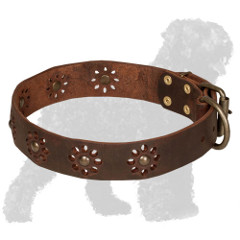 Decorated with Flowers Leather Russian Terrier Collar for Walking