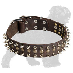 Studded and Spiked Leather Black Russian Terrier Collar for Daily Walking