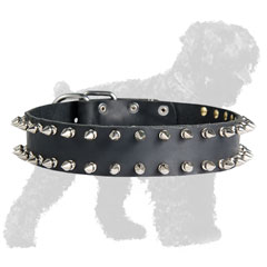 Handcrafted Walking Leather Black Russian Terrier Collar with Spikes