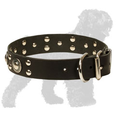 Walking Leather Russian Terrier Collar with Studs and Conchos