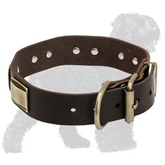 Training Brass Plated Leather Russian Terrier Collar with Strong Buckle