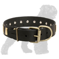Reliable Training Leather Russian Terrier Collar with Brass Hardware