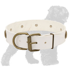 White Strong Leather Russian Terrier Collar with Brass Hardware