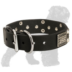Durable Leather Russian Terrier Collar with Reliable Buckle