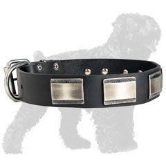 Leather Dog Collar for Training