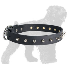 Hand-Made Walking Leather Black Russian Terrier Collar with Nickel Spikes