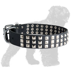 Fabulous Walking Leather Russian Terrier Collar with Pyramids