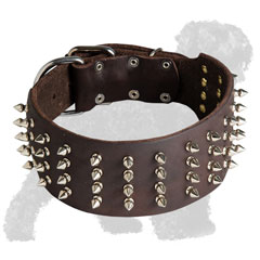Walking Leather Russian Terrier Collar with Spikes