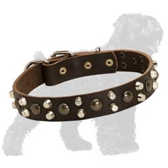 Studded Walking Leather Black Russian Terrier Collar