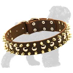 Decorative Leather Black Russian Terrier Collar with Spikes and Studs