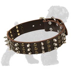 Studded and Spiked Walking Leather Russian Terrier Collar